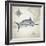 Sailfish Map I-Rick Novak-Framed Art Print