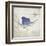 Sailfish Map II-Rick Novak-Framed Art Print