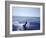 Sailfishing-null-Framed Photographic Print