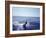 Sailfishing-null-Framed Photographic Print