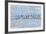 Sailing 193-Heather Blanton Fine Art-Framed Giclee Print