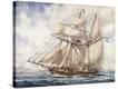Stretched Canvas Print