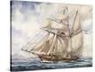 Stretched Canvas Print