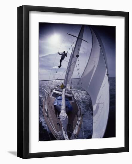 Sailing Along-null-Framed Photographic Print