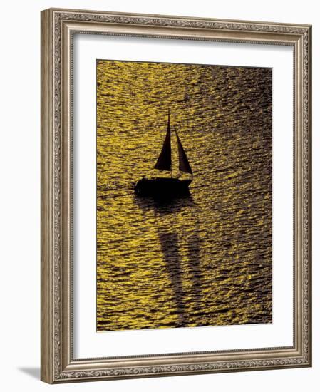 Sailing at Sunset, Ft Myers, Florida, USA-Maresa Pryor-Framed Photographic Print