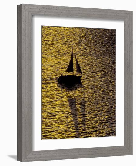 Sailing at Sunset, Ft Myers, Florida, USA-Maresa Pryor-Framed Photographic Print