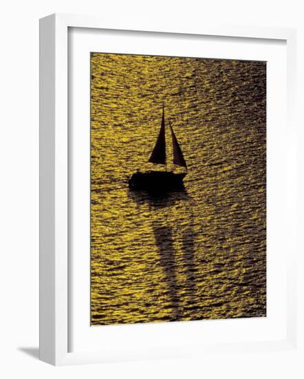 Sailing at Sunset, Ft Myers, Florida, USA-Maresa Pryor-Framed Photographic Print