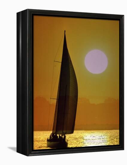 Sailing at Sunset-null-Framed Premier Image Canvas