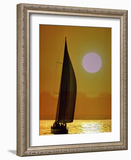 Sailing at Sunset-null-Framed Photographic Print