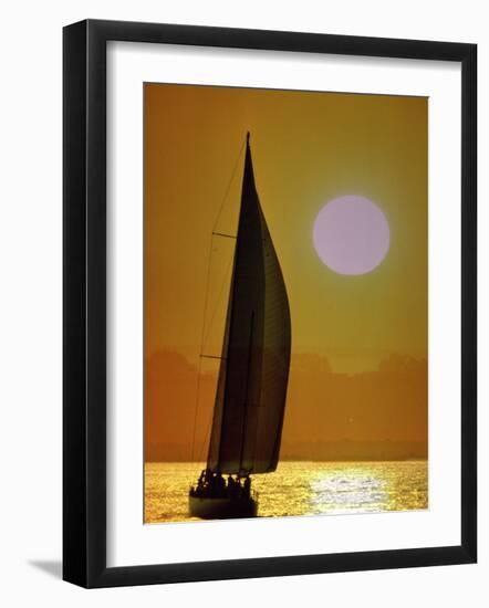 Sailing at Sunset-null-Framed Photographic Print