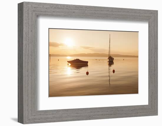 Sailing Boat at Sunset, Lake Constance, Near Konstanz, Baden-Wurttemberg, Germany, Europe-Markus Lange-Framed Photographic Print