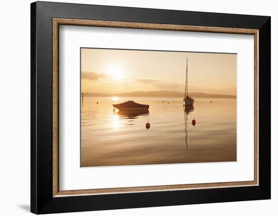 Sailing Boat at Sunset, Lake Constance, Near Konstanz, Baden-Wurttemberg, Germany, Europe-Markus Lange-Framed Photographic Print