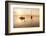 Sailing Boat at Sunset, Lake Constance, Near Konstanz, Baden-Wurttemberg, Germany, Europe-Markus Lange-Framed Photographic Print