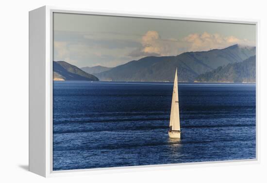 Sailing Boat in the Fjords around Picton, Marlborough Region, South Island, New Zealand, Pacific-Michael Runkel-Framed Premier Image Canvas