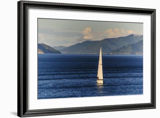 Sailing Boat in the Fjords around Picton, Marlborough Region, South Island, New Zealand, Pacific-Michael Runkel-Framed Photographic Print