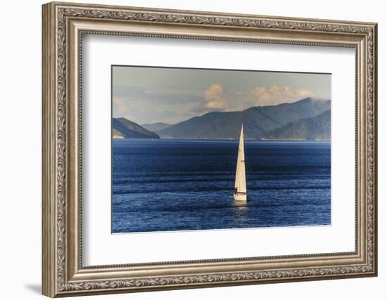 Sailing Boat in the Fjords around Picton, Marlborough Region, South Island, New Zealand, Pacific-Michael Runkel-Framed Photographic Print