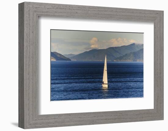 Sailing Boat in the Fjords around Picton, Marlborough Region, South Island, New Zealand, Pacific-Michael Runkel-Framed Photographic Print