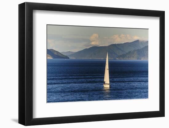 Sailing Boat in the Fjords around Picton, Marlborough Region, South Island, New Zealand, Pacific-Michael Runkel-Framed Photographic Print