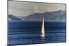 Sailing Boat in the Fjords around Picton, Marlborough Region, South Island, New Zealand, Pacific-Michael Runkel-Mounted Photographic Print