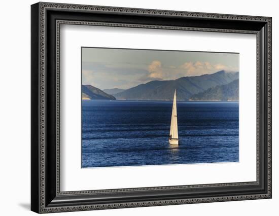 Sailing Boat in the Fjords around Picton, Marlborough Region, South Island, New Zealand, Pacific-Michael Runkel-Framed Photographic Print