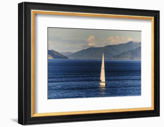 Sailing Boat in the Fjords around Picton, Marlborough Region, South Island, New Zealand, Pacific-Michael Runkel-Framed Photographic Print