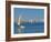 Sailing Boat on Baku Bay, Baku, Azerbaijan, Central Asia, Asia-Michael Runkel-Framed Photographic Print