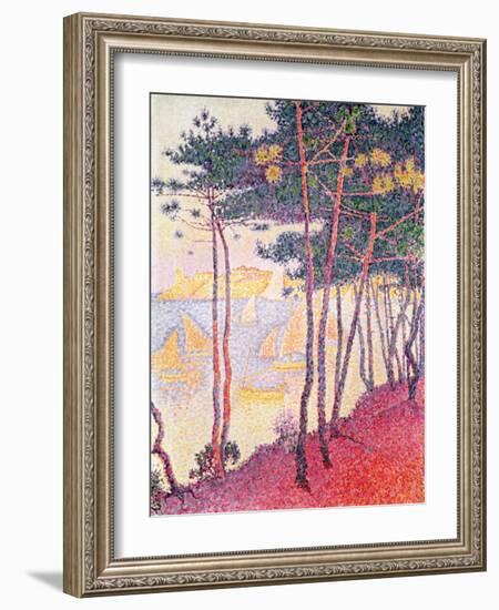 Sailing Boats and Pine Trees, 1896-Paul Signac-Framed Giclee Print