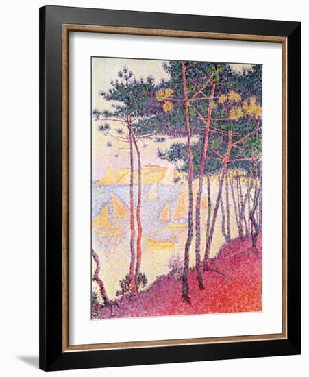 Sailing Boats and Pine Trees, 1896-Paul Signac-Framed Giclee Print