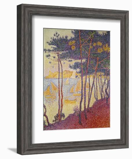 Sailing Boats and Pine Trees, 1896-Paul Signac-Framed Giclee Print