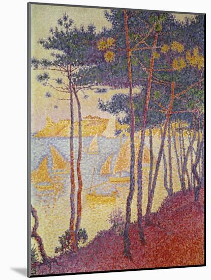 Sailing Boats and Pine Trees, 1896-Paul Signac-Mounted Giclee Print