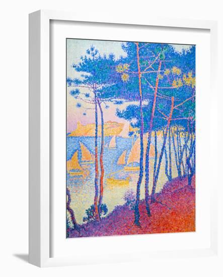 Sailing Boats and Pine Trees, C. 1896 (Oil on Canvas)-Paul Signac-Framed Giclee Print