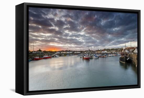 Sailing Boats at Sunset in the Harbour at Anstruther, Fife, East Neuk, Scotland, United Kingdom-Andrew Sproule-Framed Premier Image Canvas