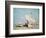 Sailing Boats, C, 1869 (Oil on Wood)-Eugene Louis Boudin-Framed Giclee Print