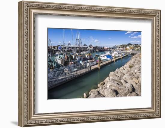 Sailing Boats in Napier Harbour, Hawkes Bay Region, North Island, New Zealand, Pacific-Matthew Williams-Ellis-Framed Photographic Print