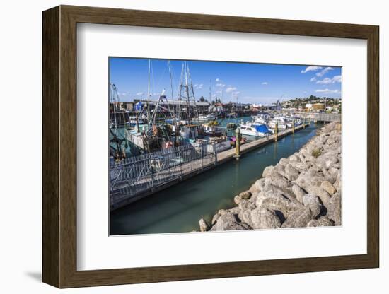 Sailing Boats in Napier Harbour, Hawkes Bay Region, North Island, New Zealand, Pacific-Matthew Williams-Ellis-Framed Photographic Print