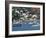 Sailing Boats Moored Off Charlotte Amalie, St. Thomas, U.S. Virgin Islands, West Indies, Caribbean-Ken Gillham-Framed Photographic Print