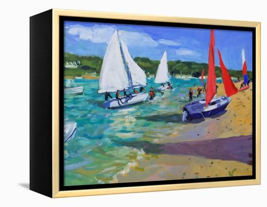 Sailing Boats-Andrew Macara-Framed Premier Image Canvas