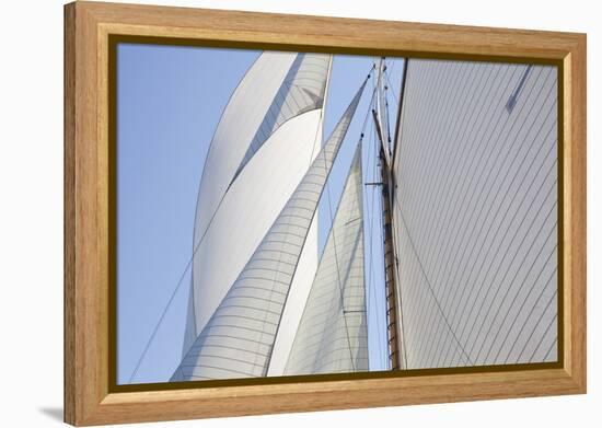 Sailing Focus - Cross-Ben Wood-Framed Stretched Canvas