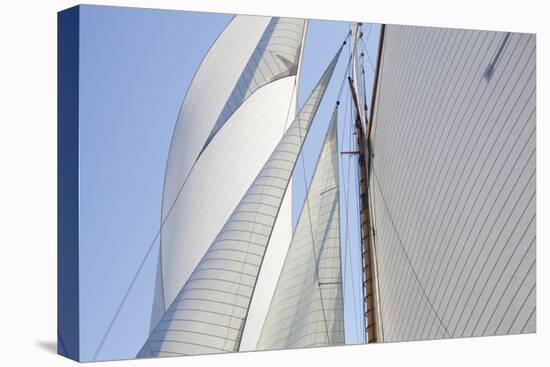 Sailing Focus - Cross-Ben Wood-Framed Stretched Canvas