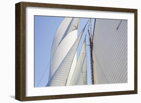 Sailing Focus - Cross-Ben Wood-Framed Giclee Print