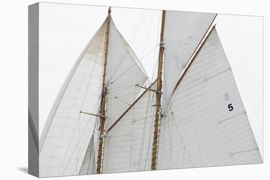 Sailing Focus - Run-Ben Wood-Framed Stretched Canvas