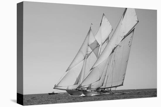 Sailing Harmony-Ben Wood-Framed Stretched Canvas