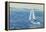 Sailing Home, 1999-Antonia Myatt-Framed Premier Image Canvas