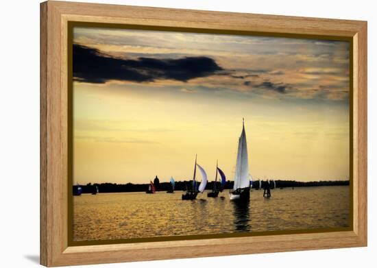 Sailing Home II-Alan Hausenflock-Framed Premier Image Canvas