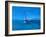 Sailing Into The Blue-Markus Bleichner-Framed Art Print