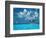 Sailing on the Blue Sea-Bill Ross-Framed Photographic Print