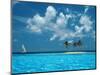 Sailing on the Blue Sea-Bill Ross-Mounted Photographic Print