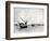 Sailing on the Nile, C.1880-Langaki-Framed Photographic Print