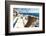 Sailing Regatta.-De Visu-Framed Photographic Print