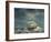 Sailing Ship at Sea-Egidius Linnig-Framed Giclee Print